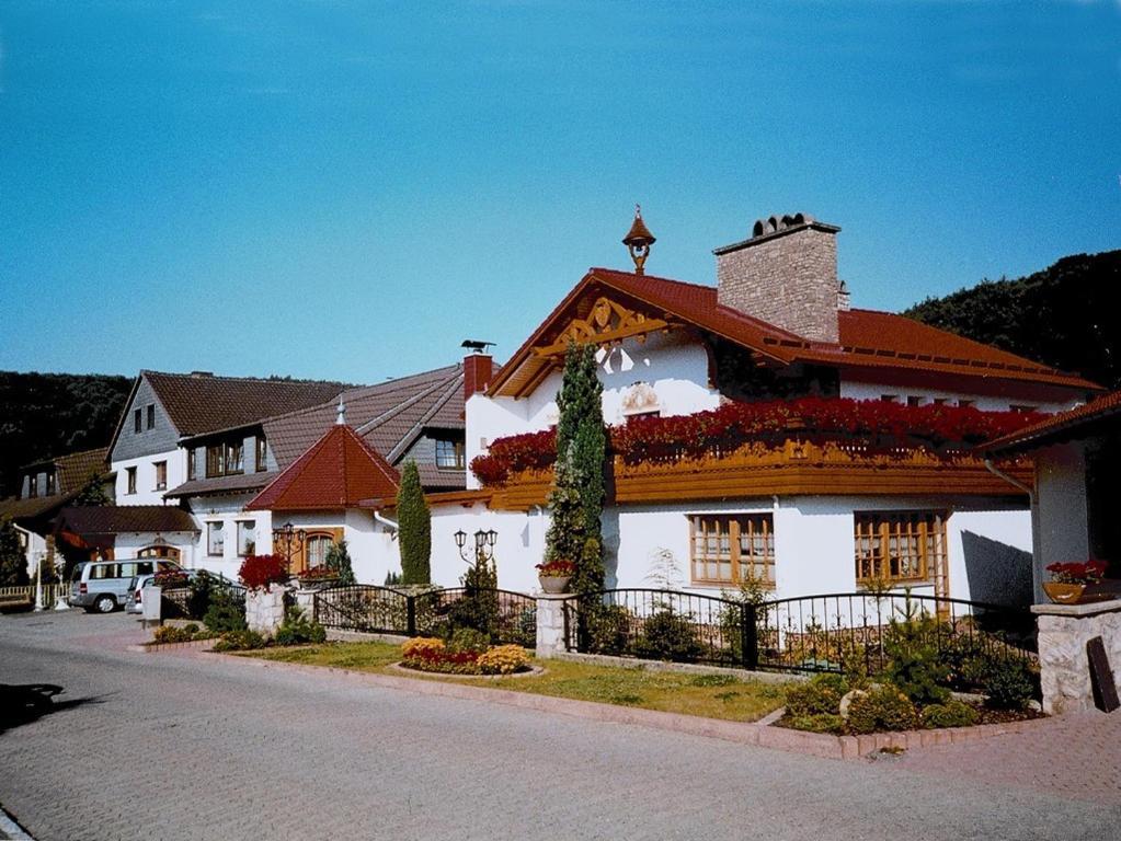Hotel Muehlenberg Bad Sachsa Extérieur photo