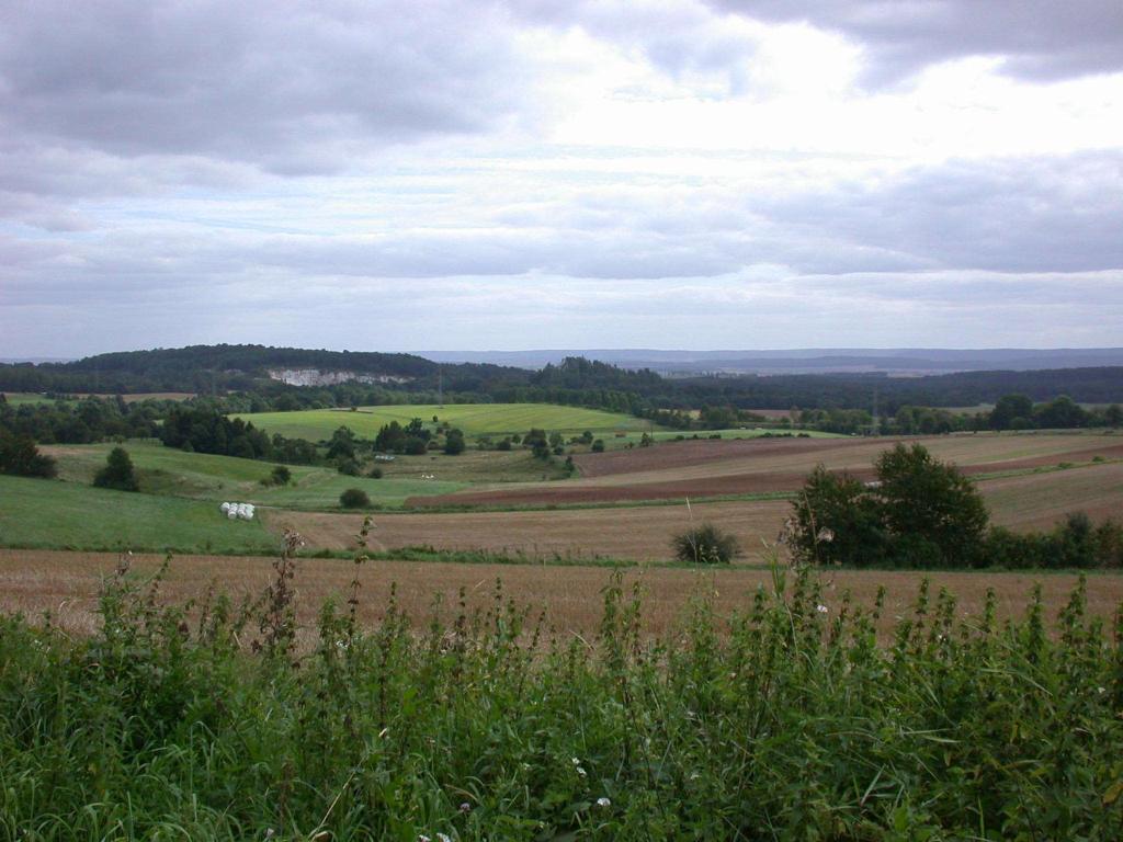 Hotel Muehlenberg Bad Sachsa Extérieur photo