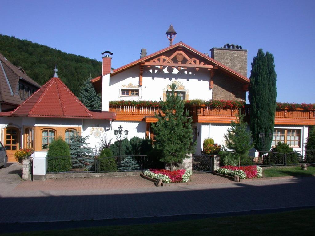 Hotel Muehlenberg Bad Sachsa Extérieur photo