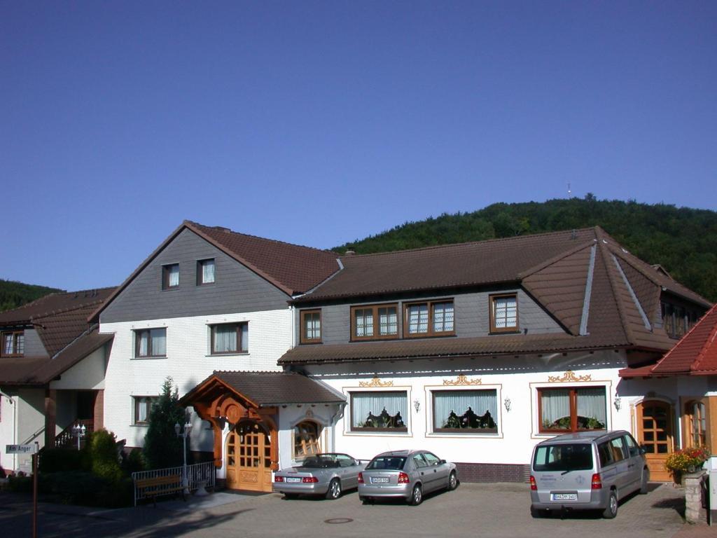 Hotel Muehlenberg Bad Sachsa Extérieur photo